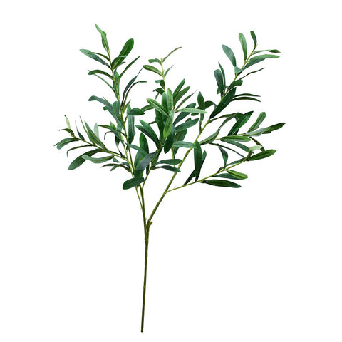 Branches of leaves
