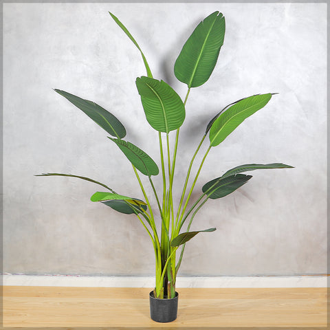 Artificial Banana Plant 185m High