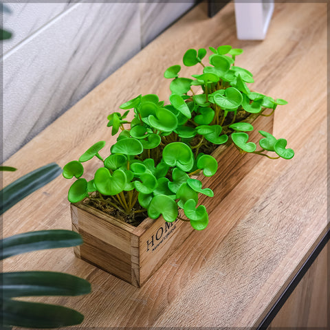Wooden Succulent Planter