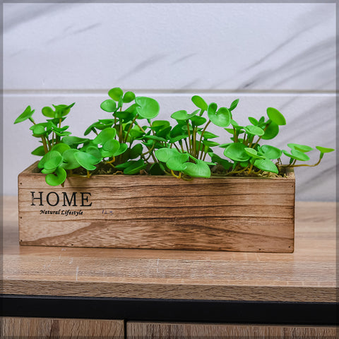 DIY Succulent Planter Wood