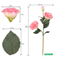 Silk Eustoma Grandiflorum Stem