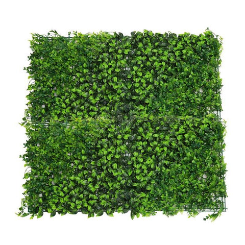 Indoor green wall