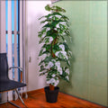 Faux monstera plant for modern interior décor