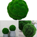 Moss Ball Centerpiece