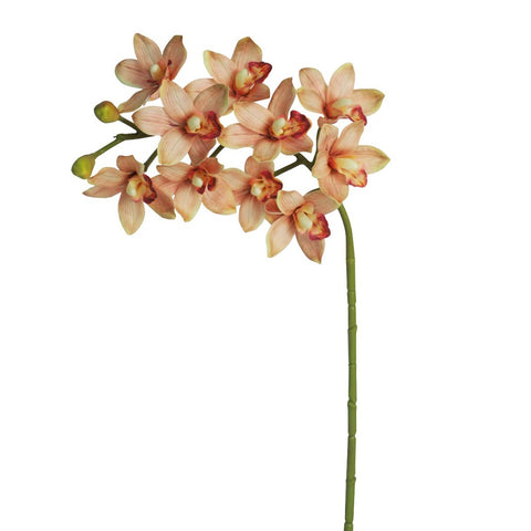 3D Artificial Cymbidium Flowers