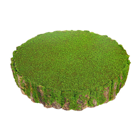 Mossy green stump