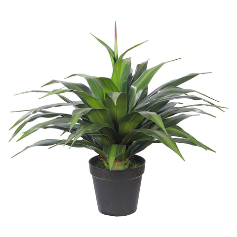 Artificial Dracaena Plants with Pot