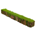 Mossy tree stump