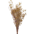 Natural Dried Preserved Millet Flower Bunch