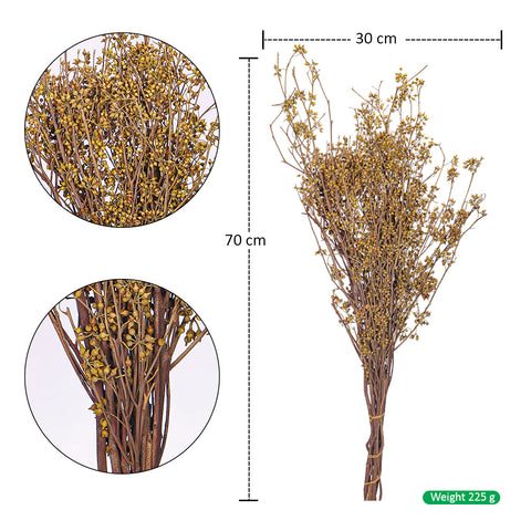 Organic Dried Millet Flowers