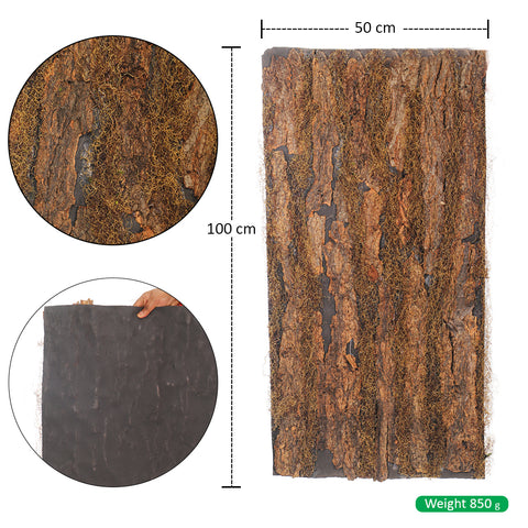 Preserved Moss Sheet