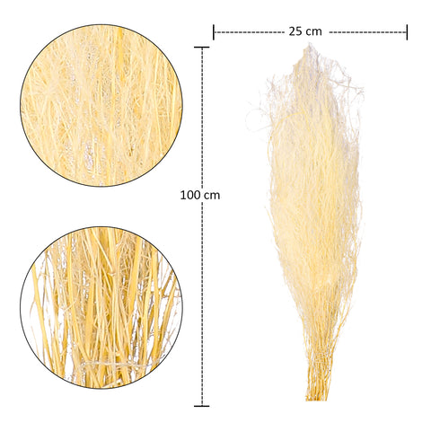 White Pampas-Style Dried Grass