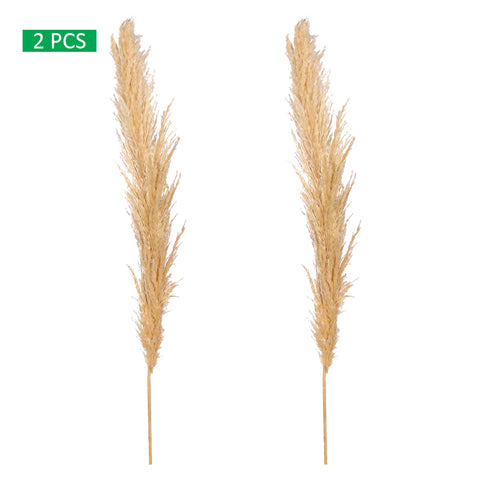Rustic Pampas Grass for Events