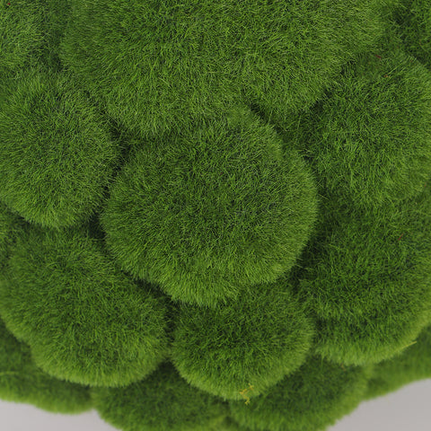 Decorative Moss