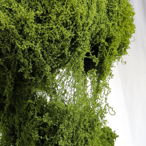 Decorative Green Moss