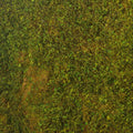 Moss Decoration Mat