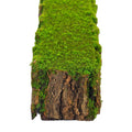 Garden stump decor