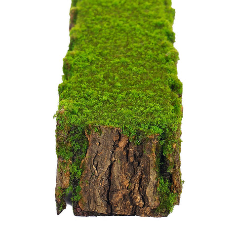 Garden stump decor