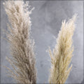 Vase for Pampas Grass