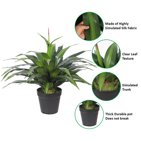 Artificial Dracaena Plants with Pot