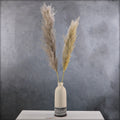 Pampas Grass Decor