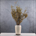 Boho Preserved Millet Stems