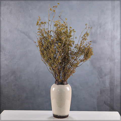 Boho Preserved Millet Stems