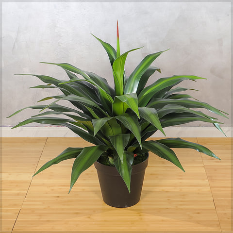 Artificial Dracaena Plants with Pot