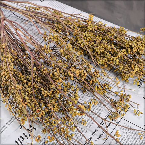 Dried Millet for Vases