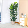 Realistic artificial schefflera tree for home and office