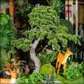 Large artificial bonsai tree for indoor use