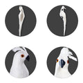 Parrot decor