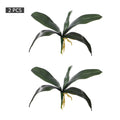 Phalaenopsis Orchid Leaves Fake