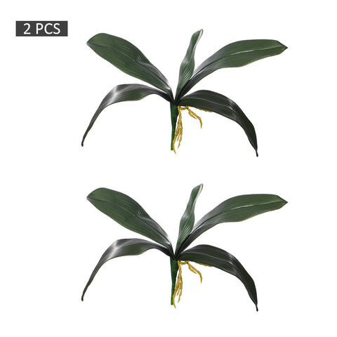Phalaenopsis Orchid Leaves Fake