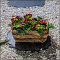 Handmade raffia planter box for succulents and flowers