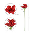 faux kaffir lily