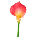 artificial calla lilies for home decor