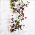 artificial wandering jew