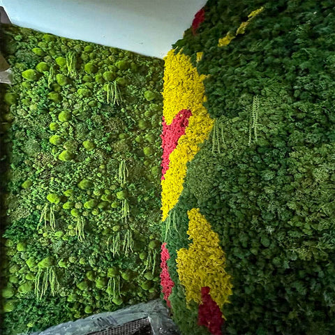 Colorful Moss Wall Installation  for display purposes only (non-sale)