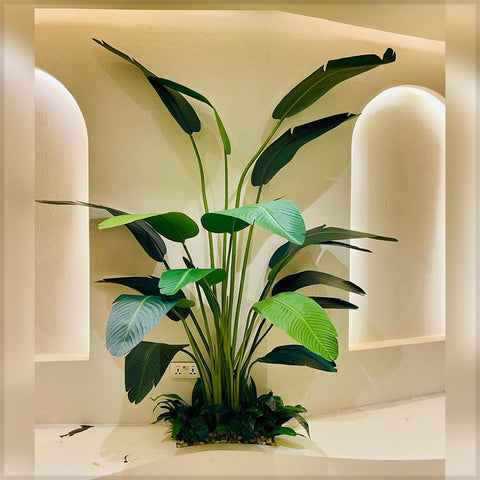 Corner Oasis : Tropical Elegance Indoors for display purposes only (non-sale)