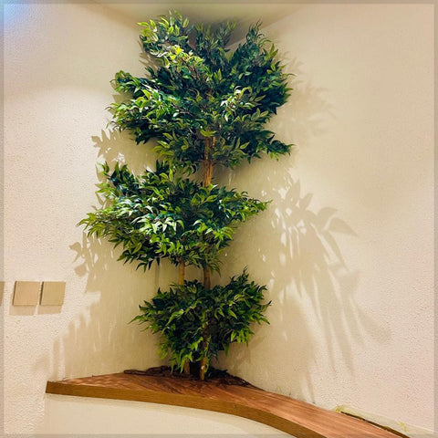 Corner Oasis : Tropical Elegance Indoors for display purposes only (non-sale)