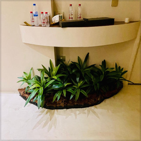 Corner Oasis : Tropical Elegance Indoors for display purposes only (non-sale)