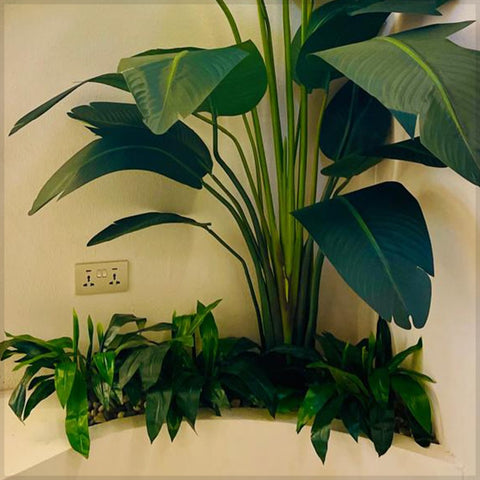 Corner Oasis : Tropical Elegance Indoors for display purposes only (non-sale)
