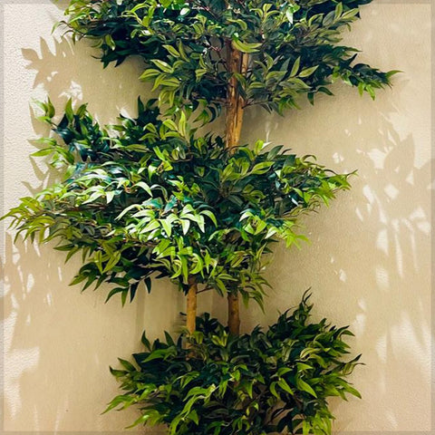 Corner Oasis : Tropical Elegance Indoors for display purposes only (non-sale)