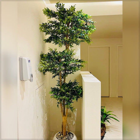 Corner Oasis : Tropical Elegance Indoors for display purposes only (non-sale)