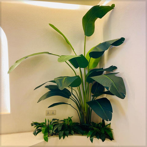 Corner Oasis : Tropical Elegance Indoors for display purposes only (non-sale)