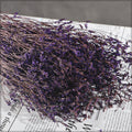 Preserved Flax Flowers