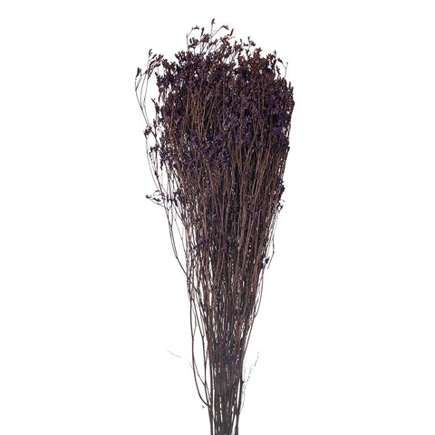 Dried Flax Flower