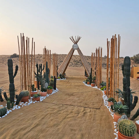 Desert Oasis Gateway to Tranquility for display purposes only (non-sale)