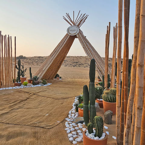 Desert Oasis Gateway to Tranquility for display purposes only (non-sale)
